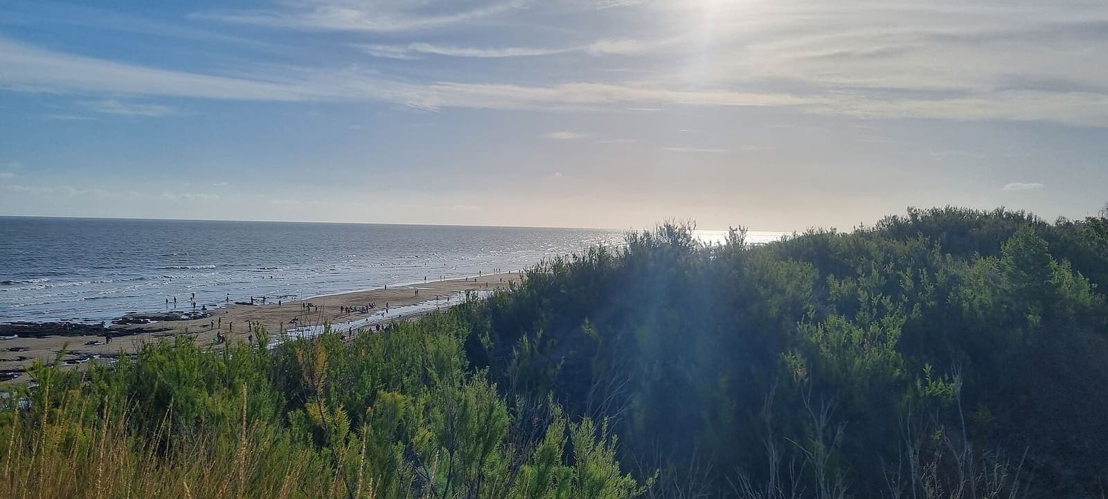 Médanos con vegetación y la playa de Pehuen Co al fondo
